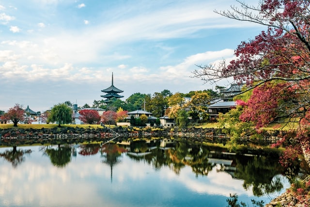 奈良公園（猿沢池）